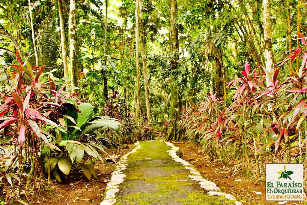 Hosteria El Paraiso de las Orquideas Archidona Exterior foto