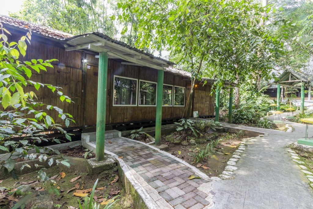 Hosteria El Paraiso de las Orquideas Archidona Exterior foto