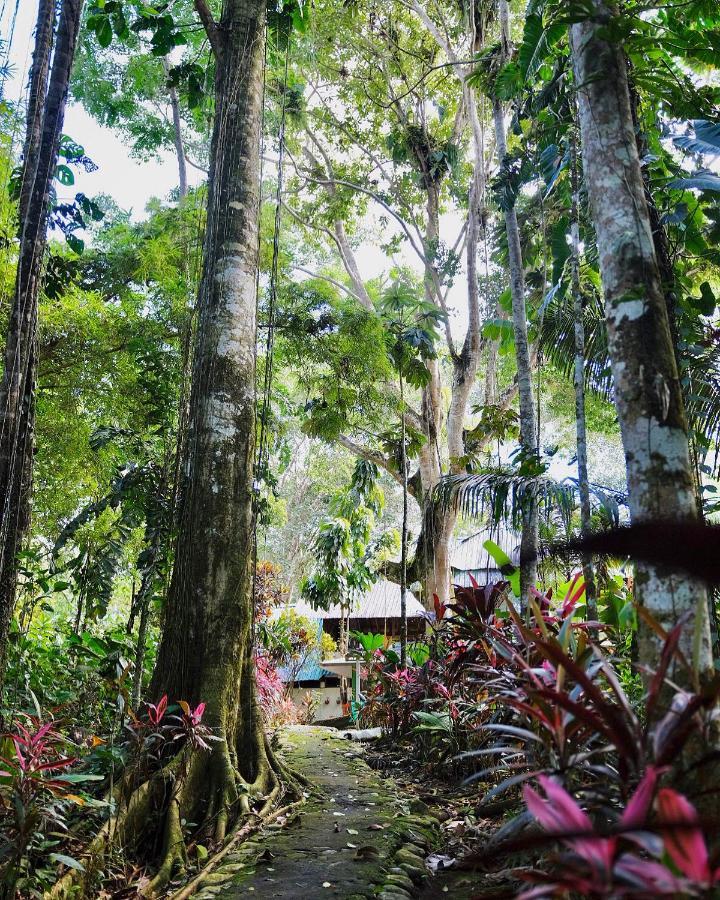 Hosteria El Paraiso de las Orquideas Archidona Exterior foto
