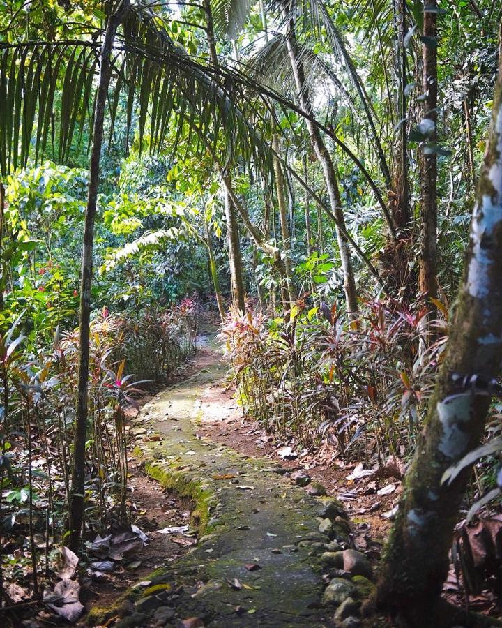 Hosteria El Paraiso de las Orquideas Archidona Exterior foto
